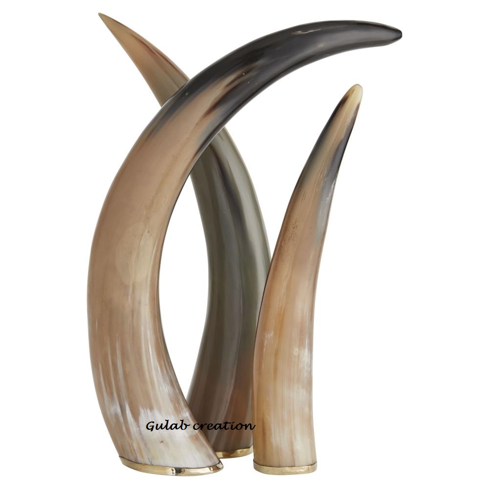 natural horn