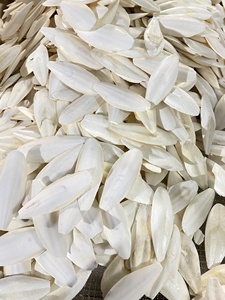 OEM/<strong>ODM</strong> <strong>PRODUCING</strong> CUTTLEBONE PET FOOD DRIED CUTTLEFISH BONE for PET NUTRITION! PURE NATURAL for BIRDS REPTILES MEDICINE - Product Image 4
