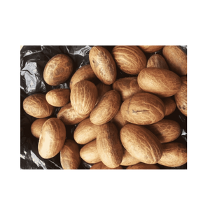 Fresh Garcinia-kola Bitter-kola Manufacturers for Sale