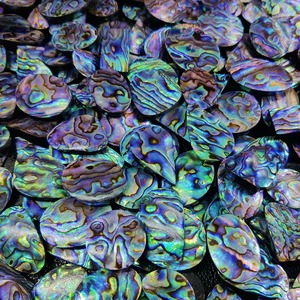 Yüksek kalite sıcak satış deniz kabukları doğal cilalı Abalone kabuk ev dekorasyon toptan numune için pürüzsüz parlak kabuk - Product Image 2