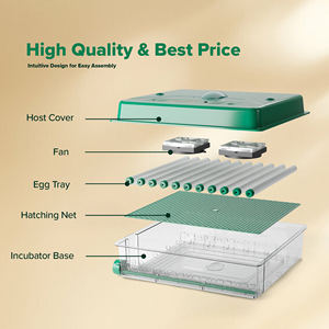 High Quality 70 Egg <strong>Chicken</strong> Incubator with Digital Display and Automatic Turning System ECO PROFI <strong>C</strong>-70 - Product Image 5
