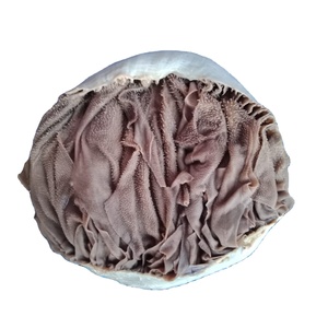 <strong>USA</strong> Best Grade Fresh 500 Tons Dry Salted Beef Omasum / Beef Tripe Beef Omasum