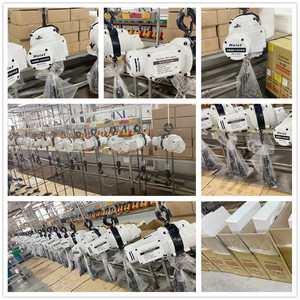 250kg 500kg 1000kg 110V/220V Single phase xách tay mini <span class=keywords><strong>Chain</strong></span> <span class=keywords><strong>Electric</strong></span> hoist cho nâng - Product Image 5