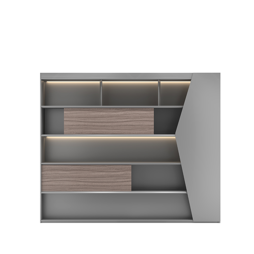 Liron-301-1