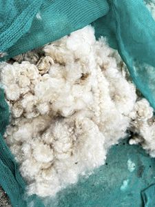 Organik KAPOK yatak ve yastık dolum için % 100% doğal yüksek kalite/toptan VIETNAM gelen KAPOK FIBER iyi fiyat - Product Image 6