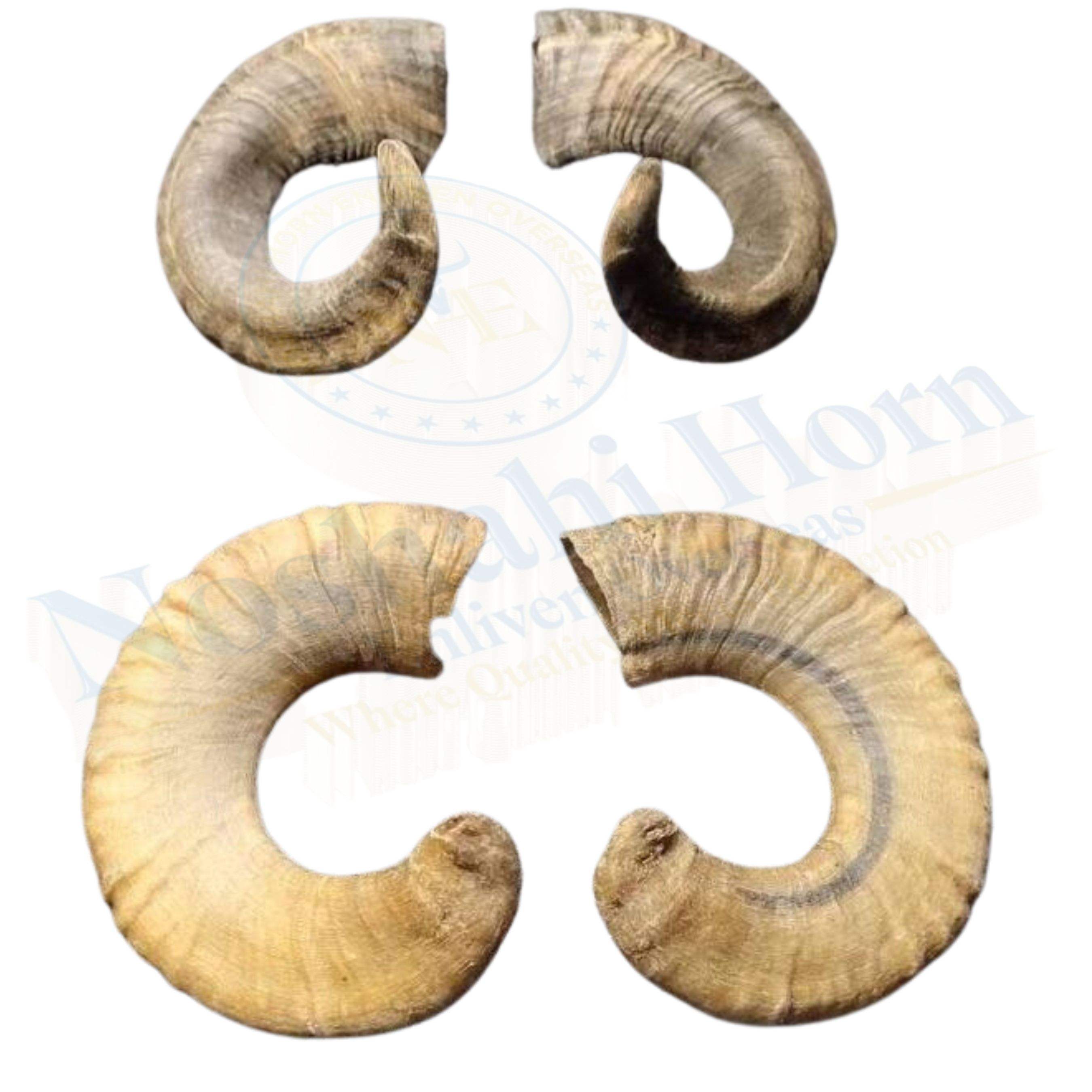 ธรรมชาติ