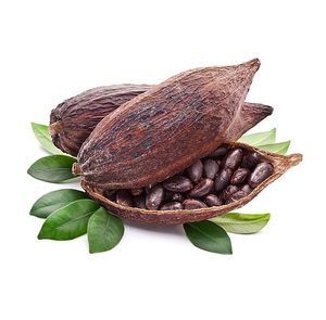 &quot;Buy <strong>Cocoa</strong> for Sale at Discounted Prices Fresh and High-Quality <strong>Cocoa</strong> Powder and Beans for Baking and Desserts&quot; - Product Image 6