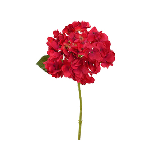 本物の植物保存ビッグリーフアジサイ花ウェディングデコレーション用ホワイトホワイトパープルピンク乾燥アジサイ
