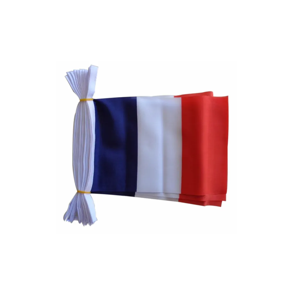 थोक विज्ञापन पॉलिएस्टर फ़्रांस विश्व देश के झंडे बंटिंग फैब्रिक स्ट्रिंग्स बंटिंग झंडे कस्टम