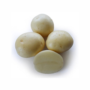 Yeni sezon taze tatlı patates toptan sıcak satış/patates toplu ihracat standart ile ucuz fiyata mor tatlı patates - Product Image 4