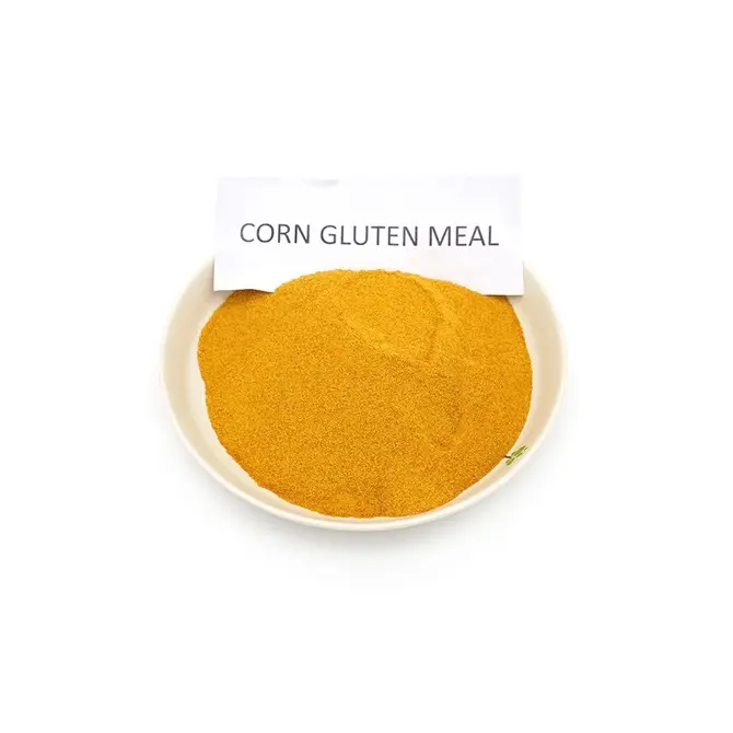 Wholesale Corn Gluten Meal Price + Quality Corn Meal Feed For Every Animal Species