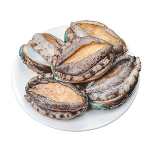 Deniz ürünleri kurutulmuş dondurulmuş Abalone taze Abalone kabukları