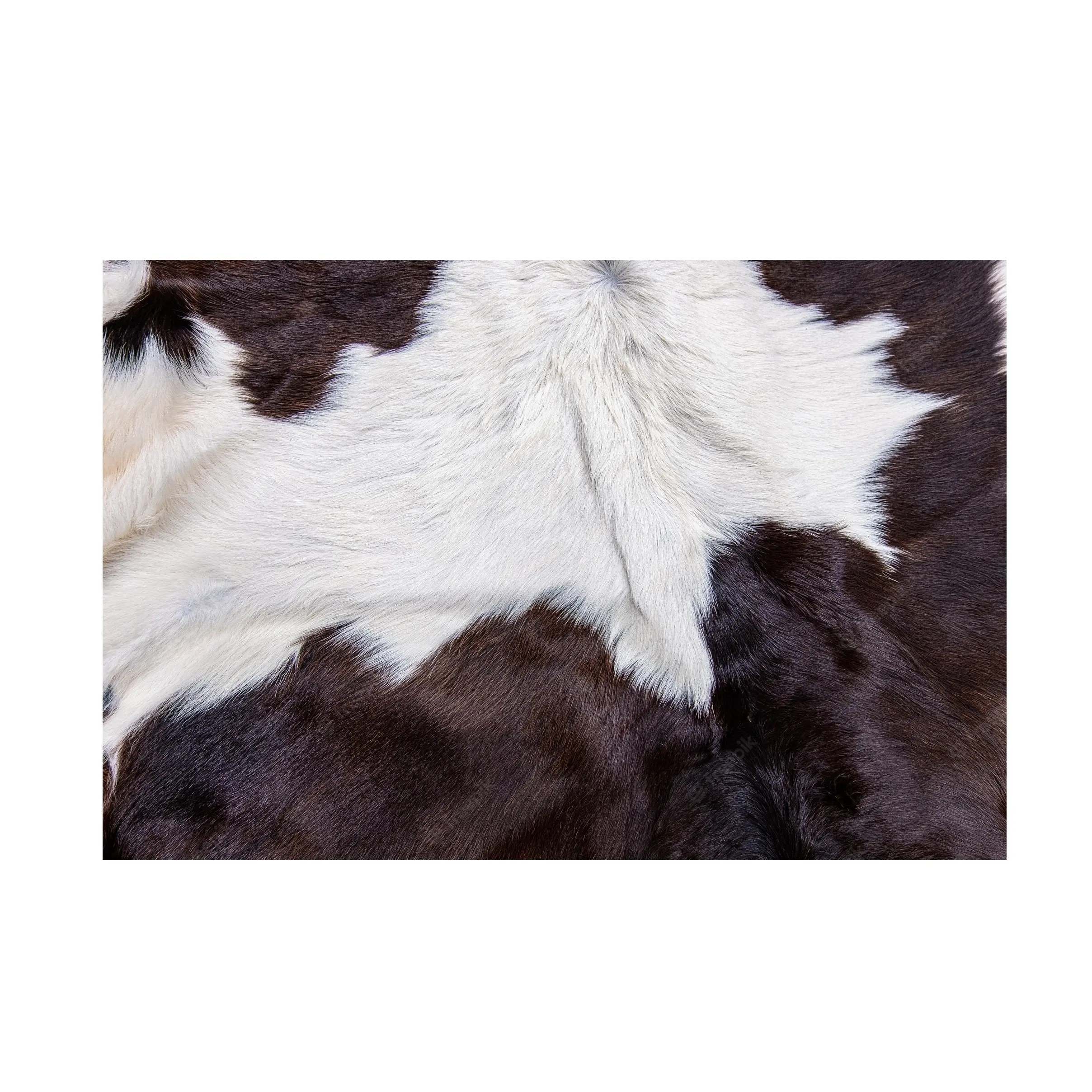 Dry And Wet Salted Cow Hides / Skins / Animal Cattle Hides Available Here At Best Wholesale Pricing