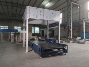 Il magazzino automatizzato dei sistemi di trasporto a rulli della macchina di smistamento dei Chip utilizza DWS di e-commerce espresso con la macchina di smistamento dei pacchi del selezionatore