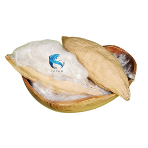 HOT SALE <strong>NATURAL</strong> KAPOK WHOLESALE PRICE QUALITY MADE in VIETNAM - Product Image 1