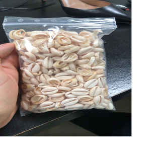 Custom Made Cut Cowry <strong>Shells</strong> in 100 Gram Bags Suitable for Jewelry Designers and <strong>Shell</strong> Craft Stores - Product Image 5