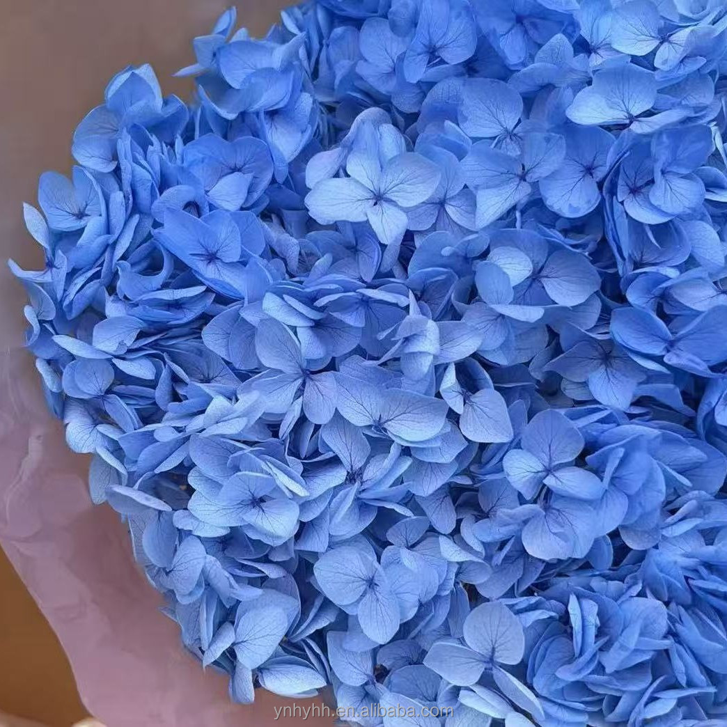 Azzurro di cielo