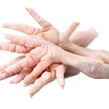 Chicken feet - Suppliers Best Halal Frozen Chicken Feet / Chicken Feet Top Quality Wholesale Price