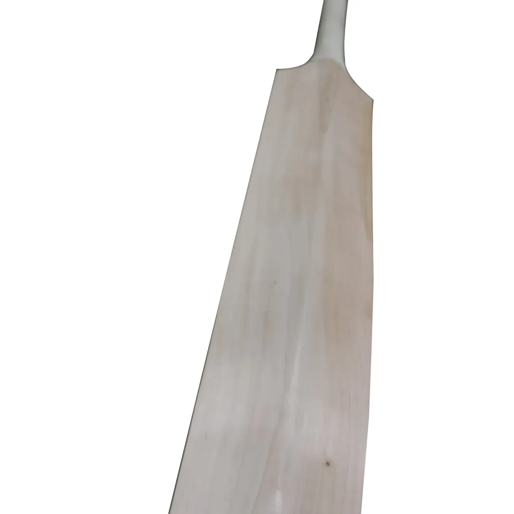 Bestverkopende Engelse Willow Wood Cricketbat Professionele Cricketbat Set/Originele Engelse Wilg Cricketbats