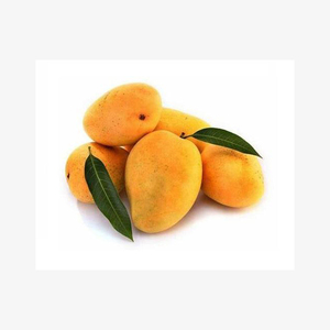新到货美味新鲜天然芒果级纯黄芒果水果批量供应 - Product Image 5