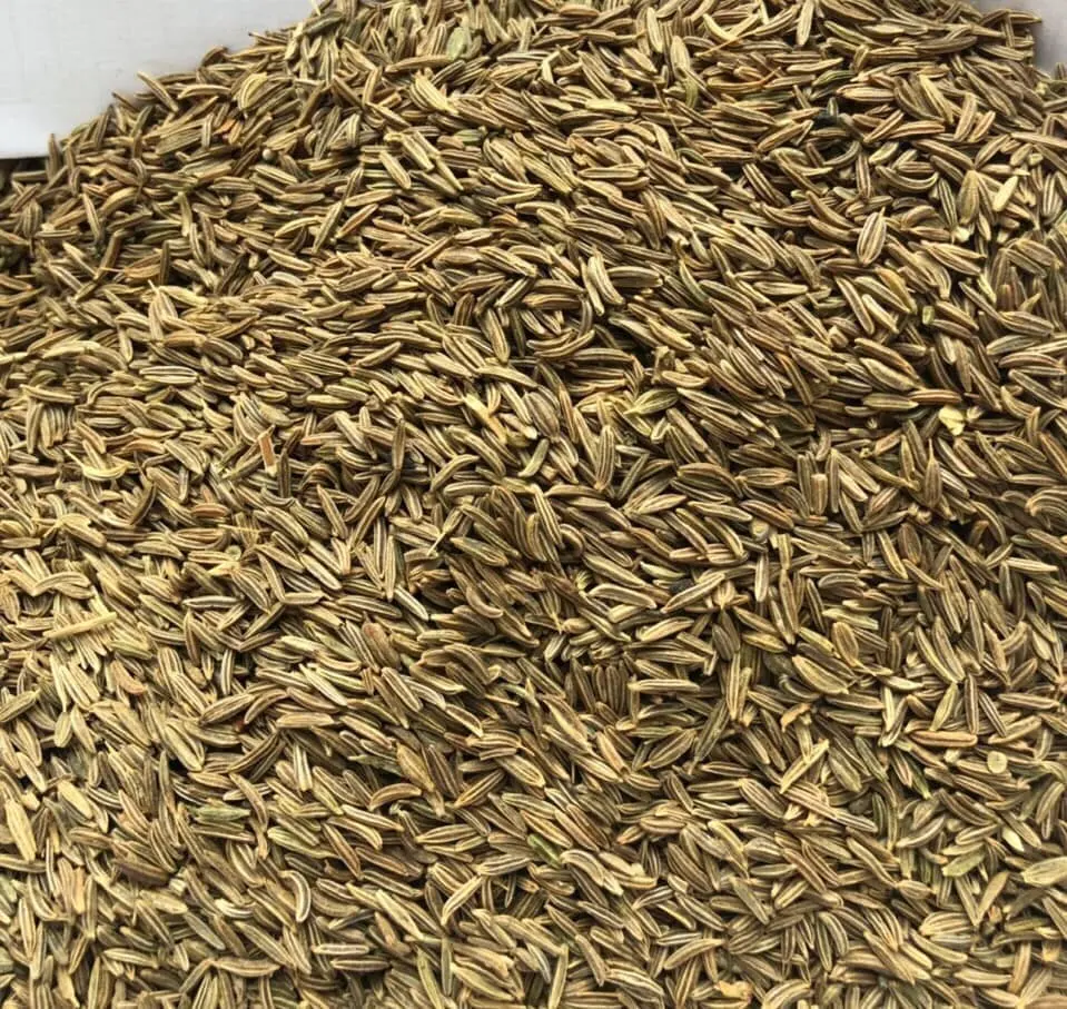 Graines de cumin pur plante facile en vrac à vendre