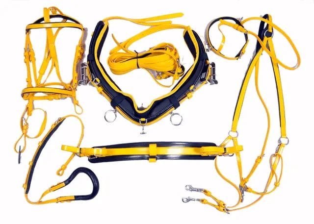 สีเหลือง