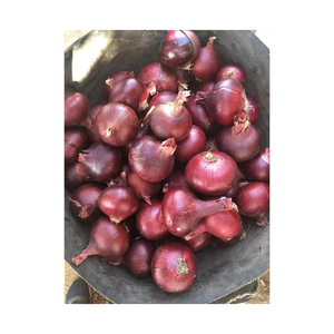 优质新鲜蔬菜产地供应商以批发市场价格供应美味新鲜红洋葱 - Product Image 3