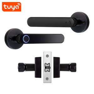 2024 <strong>New</strong> Arrival Tuya Smart Fingerprint &amp; <strong>Key</strong> Password App Unlock BT Door <strong>Lock</strong> with Tuyasmart APP PST-T8 - Product Image 5