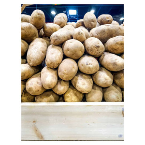 <strong>Potato</strong> with Good Price Professional Export <strong>Potato</strong> New High Quality Fresh <strong>Potatoes</strong> Available for Sale