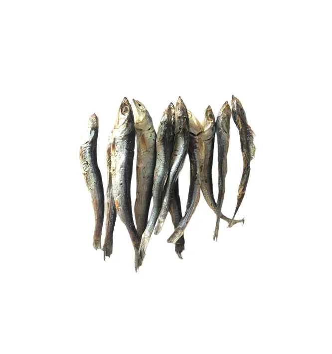 Neue Saison-DRIED ANCHOVY FISH/ SUN DRIED ANCHOVY FISH - 100% luft getrocknete Sardellen