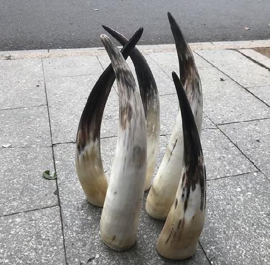 ธรรมชาติ