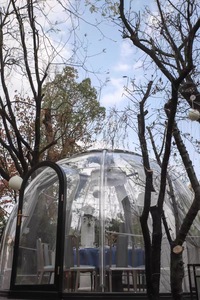 Thiết kế hiện đại glamping trong suốt Polycarbonate Ellipse nhà đúc sẵn đo đạc chỗ ở khách sạn biệt thự cửa hàng nhà - Product Image 2