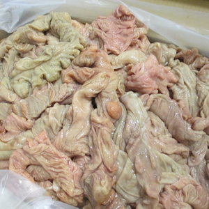低价求购冻猪肉小肠-猪肉去骨肉 - Product Image 2