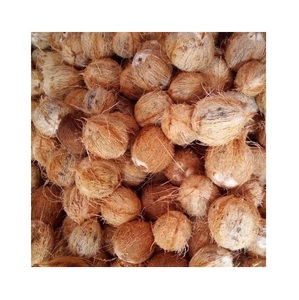 Noci di cocco fresche di alta qualità/noci di cocco fresche (dimensioni maggiori) - Product Image 1
