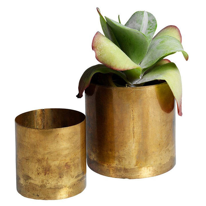 ช่อลาเวนเดอร์