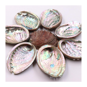 NATURAL LARGE SIZE POLISHED ABALONE <strong>SHELL</strong> CHARMING and ATTRACTIVE BLUE ABALONE SEASHELL WHOLESALE BEST PRICE ABALONE - Product Image 4
