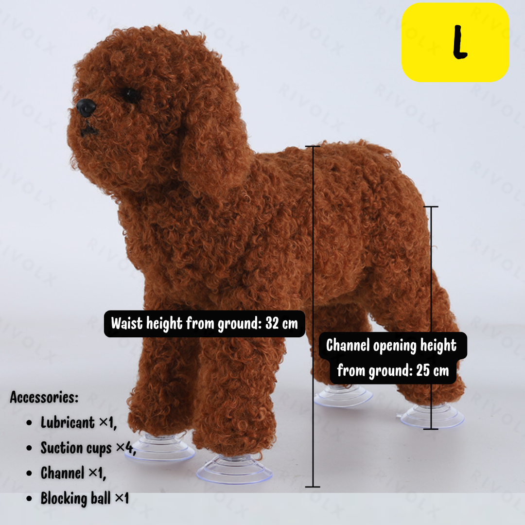 Caniche café (caniche de juguete) L