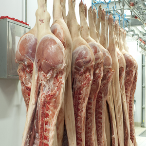 顶级烤禽屠体销售冻肉猪肉供应商产地加工冻猪肉四路切割屠体 - Product Image 6