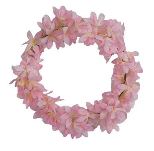 หลายสีธรรมชาติ