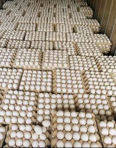 Hữu cơ trang trại tươi trắng vỏ gà thụ tinh Nở trứng bảng tươi bảo quản trứng gà - Product Image 2