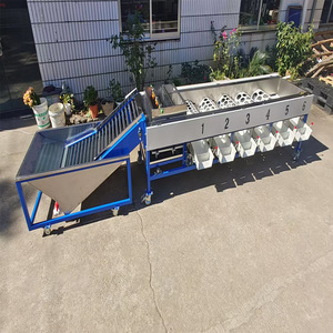 Precision <strong>Sorting</strong> Efficient Packaging <strong>Automation</strong> for Fruits Vegetables Automatic Weighing <strong>Sorting</strong> <strong>Machine</strong> Fruit Processing Plant - Product Image 3