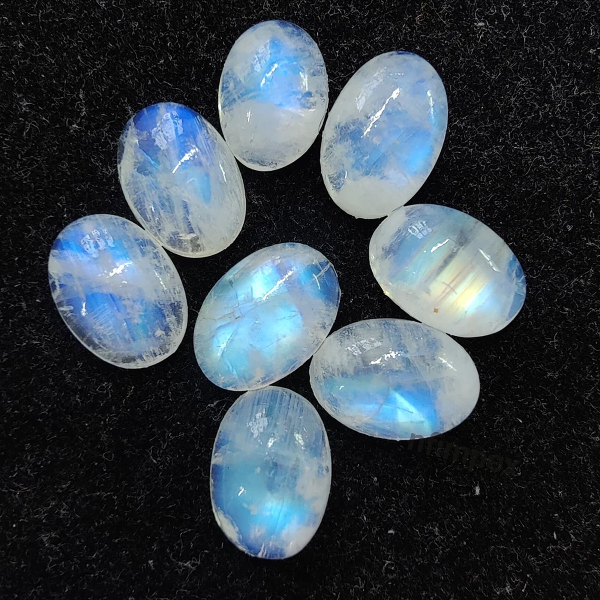 เช่นเดียวกับรูปภาพ