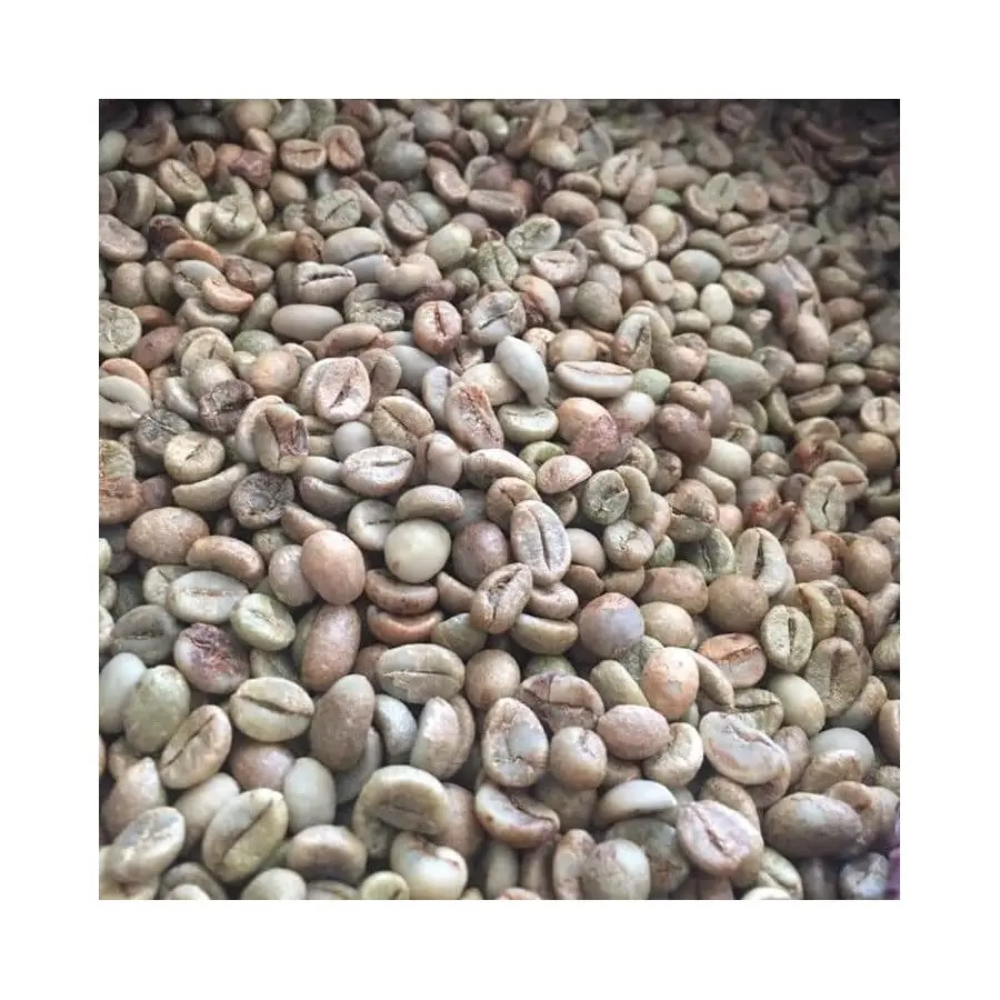 प्रतिस्पर्धी मूल्य रोबस्टा कॉफी बीन ऑर्गेनिक ताजा कच्चा भुना हुआ उच्च गुणवत्ता वाला अरेबिका पारंपरिक प्राकृतिक