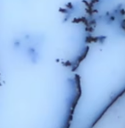 As Per Image