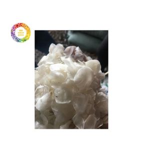 越南晒干鱼鳞优质罗非鱼用于凝胶生产