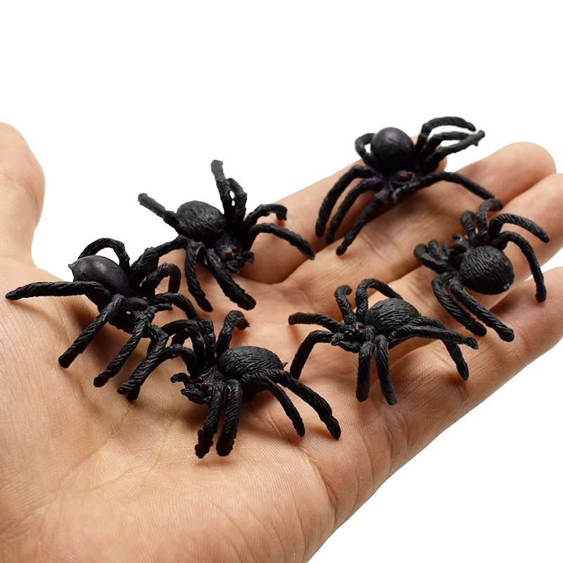Black spider