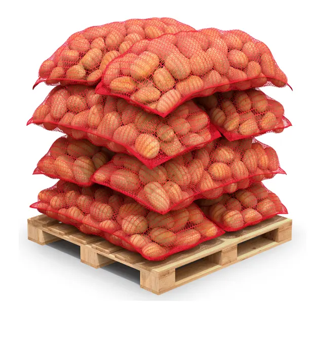 Patatas frescas al por mayor Producto de alta calidad Exportación Patatas frescas en el extranjero al mejor precio Patatas frescas