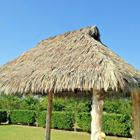 ORGANIC COCONUT LEAF <strong>ROOF</strong> / IDEAL for <strong>TROPICAL</strong> DESIGN / MADE in VIETNAM - Product Image 5
