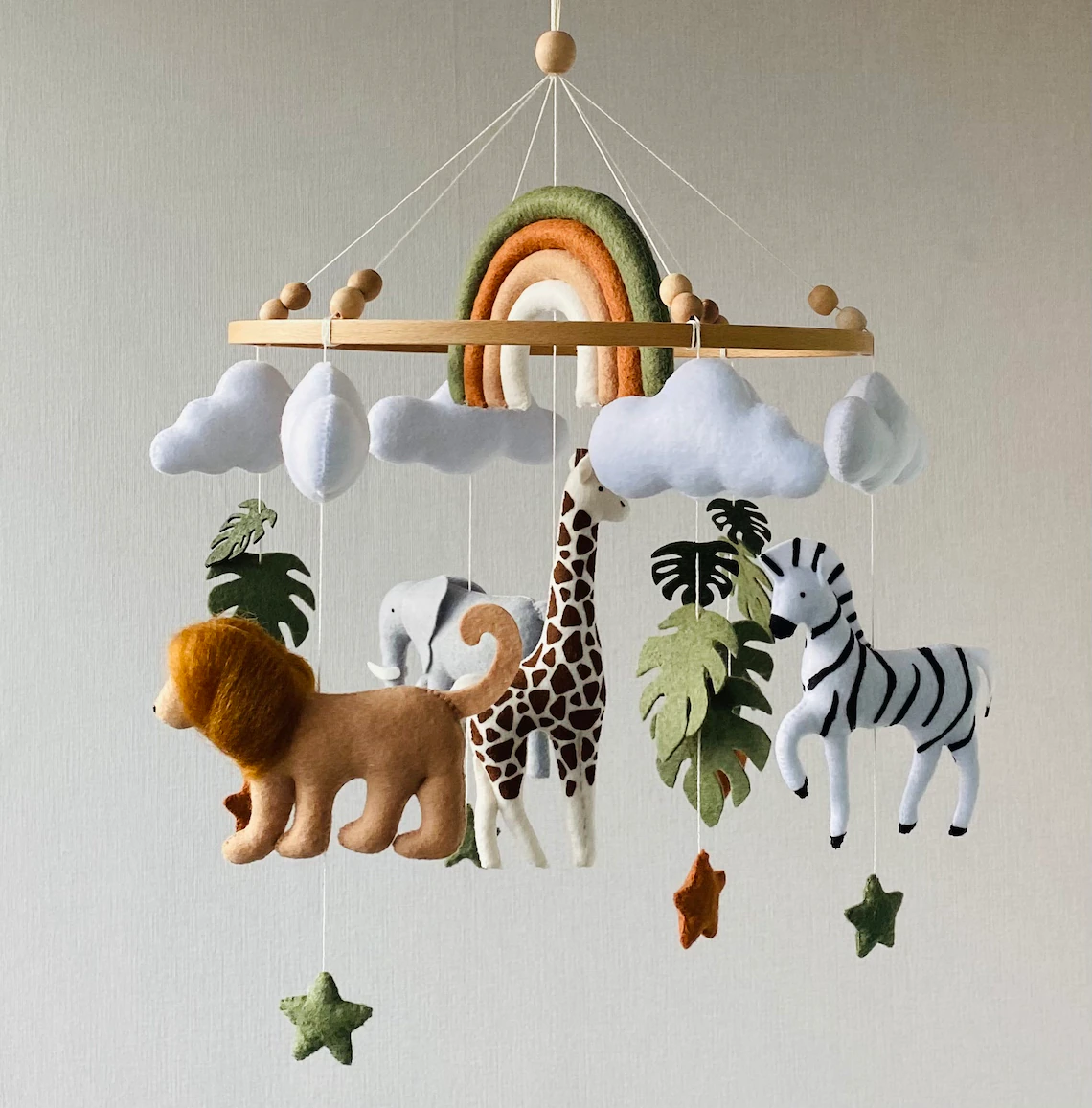 safari