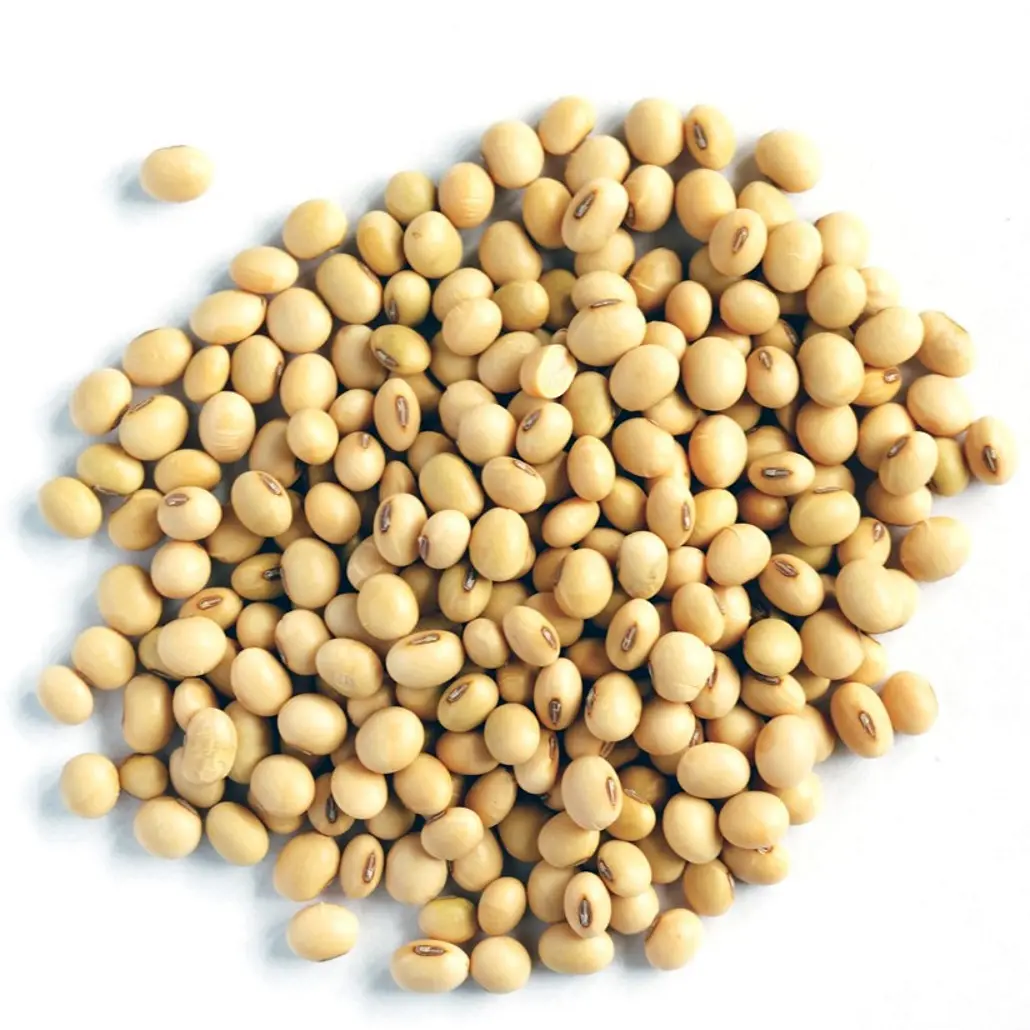 Chất lượng cao đậu nành NON-GMO 100% hữu cơ đậu nành tại giá bán buôn